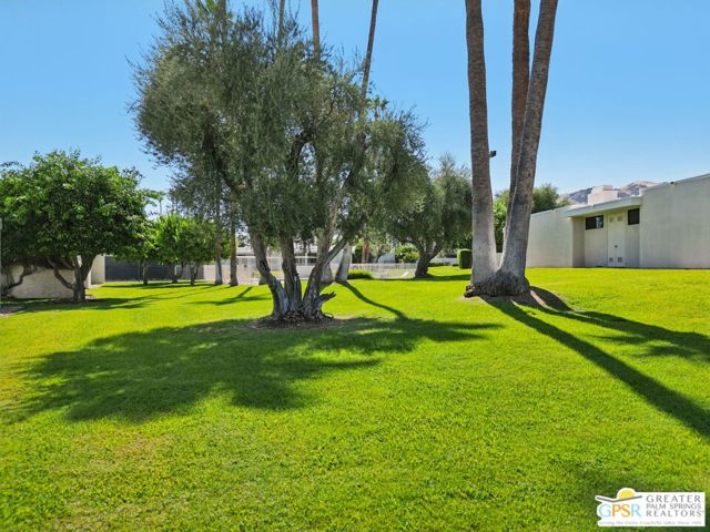 1445 Via Isla, Palm Springs CA: https://media.crmls.org/mediaz/099532ae-b5ff-4ed6-8ea7-020b483eef7b.jpg