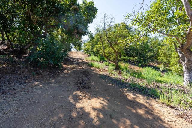 0 Wilt Road, Fallbrook CA: https://media.crmls.org/mediaz/09972bb2-a2a9-46c7-805d-3b4c8d11c301.jpg
