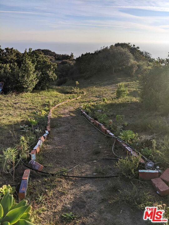 2195 E Little Las Flores Road, Topanga CA: https://media.crmls.org/mediaz/09989311-af57-4ccc-b3a3-dab7f94bbea6.jpg
