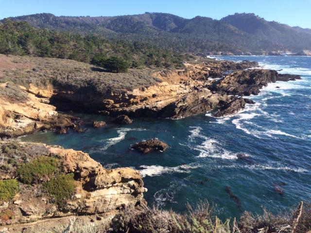 64 Marguerite (Tehama), Carmel CA: https://media.crmls.org/mediaz/0999093a-3a71-4a4a-aa3e-205d7d37e216.jpg