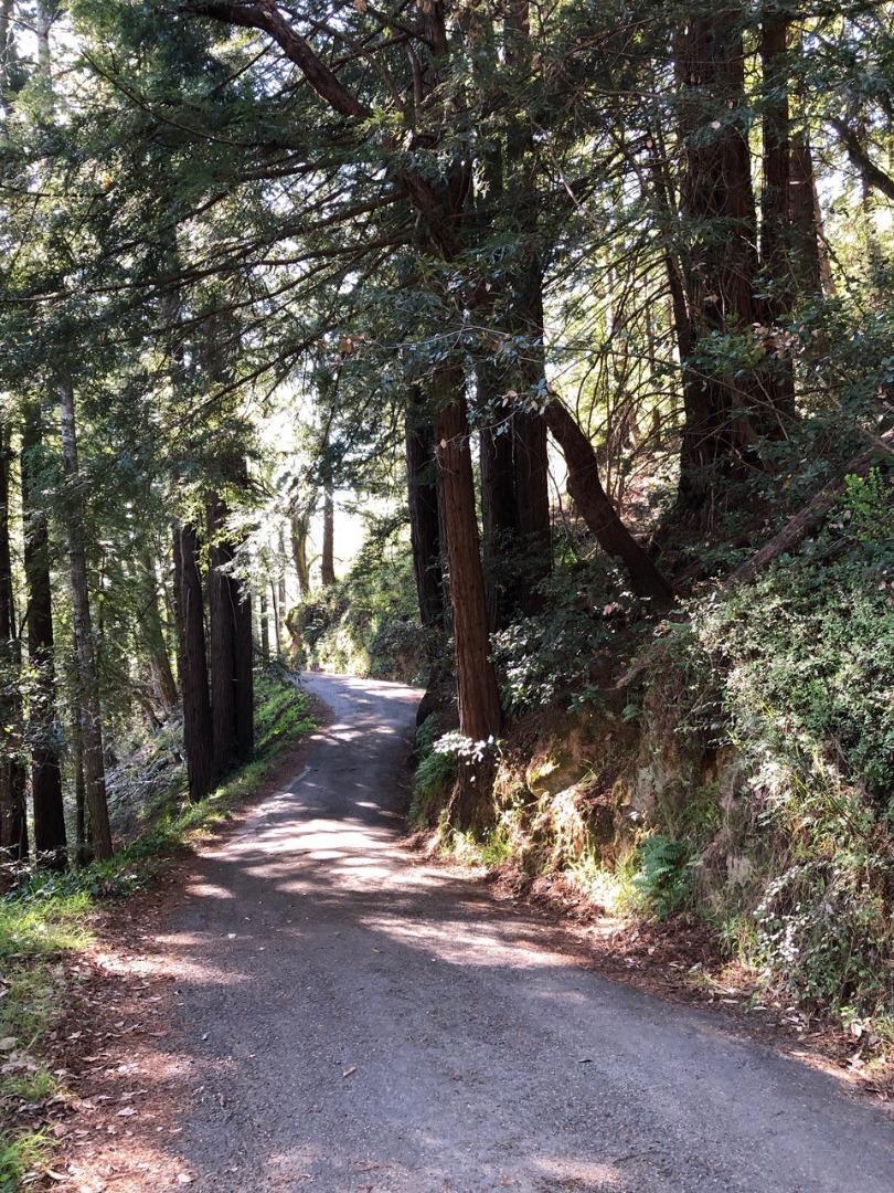 MLS #ML81979482 image #20