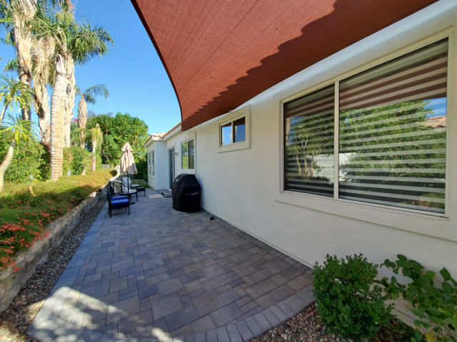 Back patio - BBQ Area