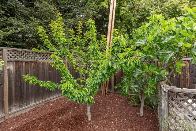 1532 Meadow Lane, Mountain View CA: https://media.crmls.org/mediaz/09a44d42-7395-47c6-85d3-0c1708f98336.jpg