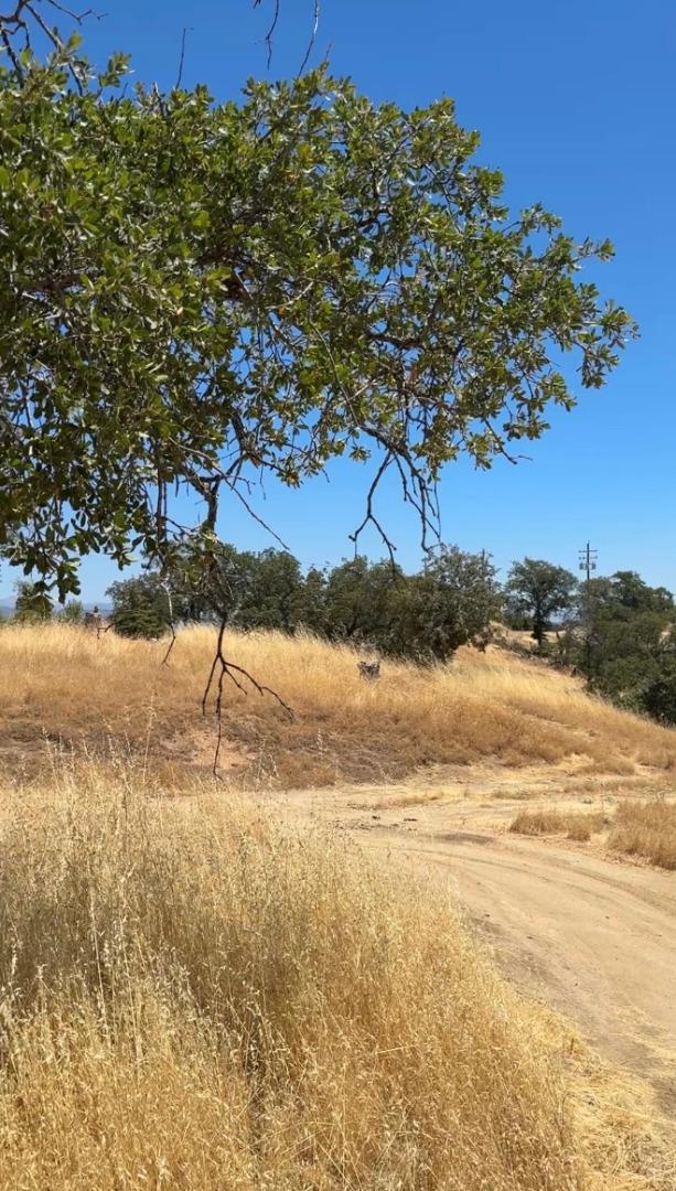 41176 Lilley Mountain Drive, Coarsegold CA: https://media.crmls.org/mediaz/09a8563b-271d-4a4c-a633-ba7c2fe2c4ad.jpg