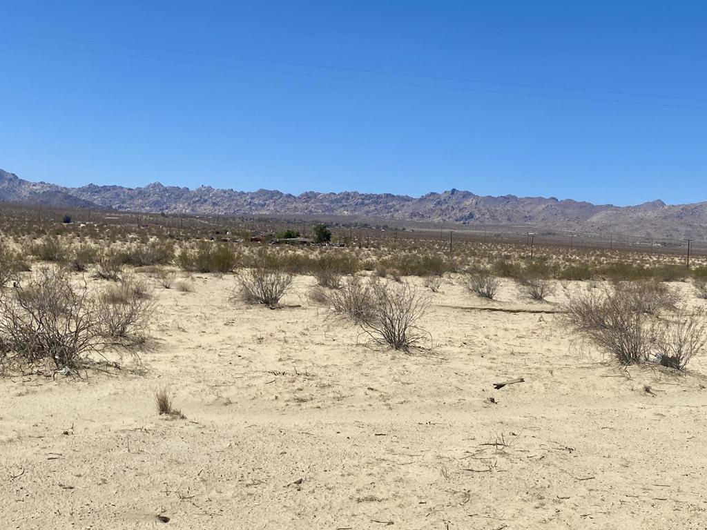 MLS #219133463PS image #6