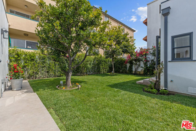 1225 California Avenue, Santa Monica CA: https://media.crmls.org/mediaz/09b77469-29c1-49b4-8638-9cd55940f3ee.jpg