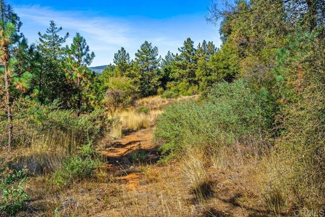 Detail Gallery Image 5 of 40 For 120 Ac Vacant Land Mesa Grande Rd, Santa Ysabel,  CA 92070 - – Beds | – Baths