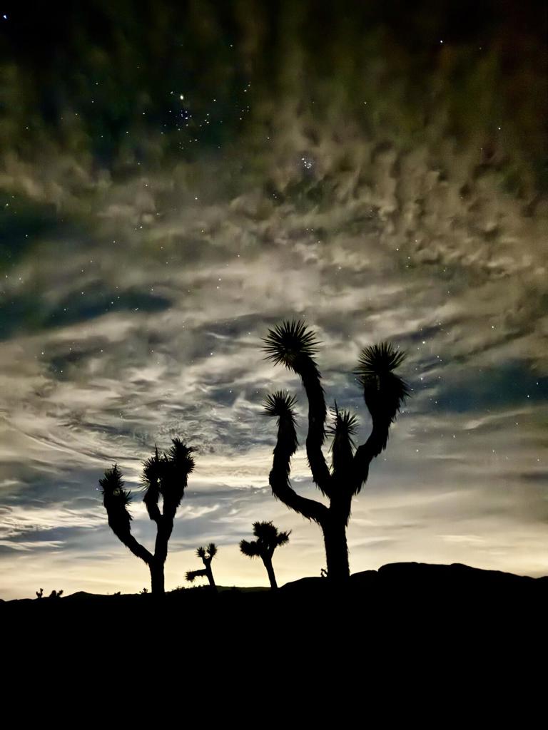 MLS #219137921DA image #4