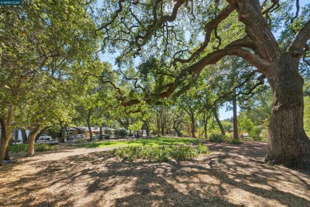 973 4Th St, Lafayette CA: https://media.crmls.org/mediaz/09d0eae5-9afe-4978-a2c6-78952fc2b3ec.jpg