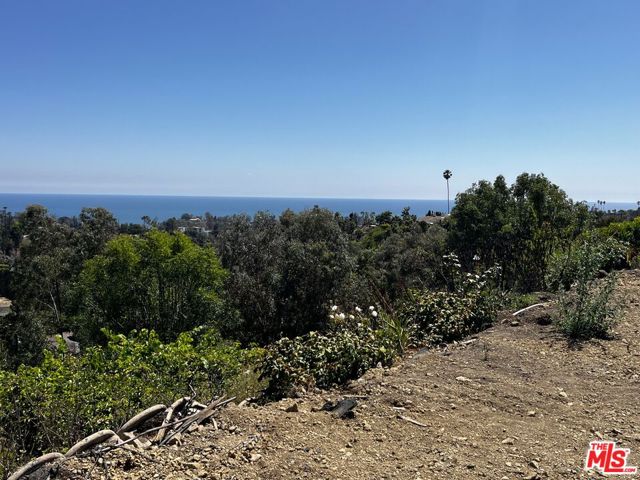 1243 Las Lomas Avenue, Pacific Palisades, CA 90272