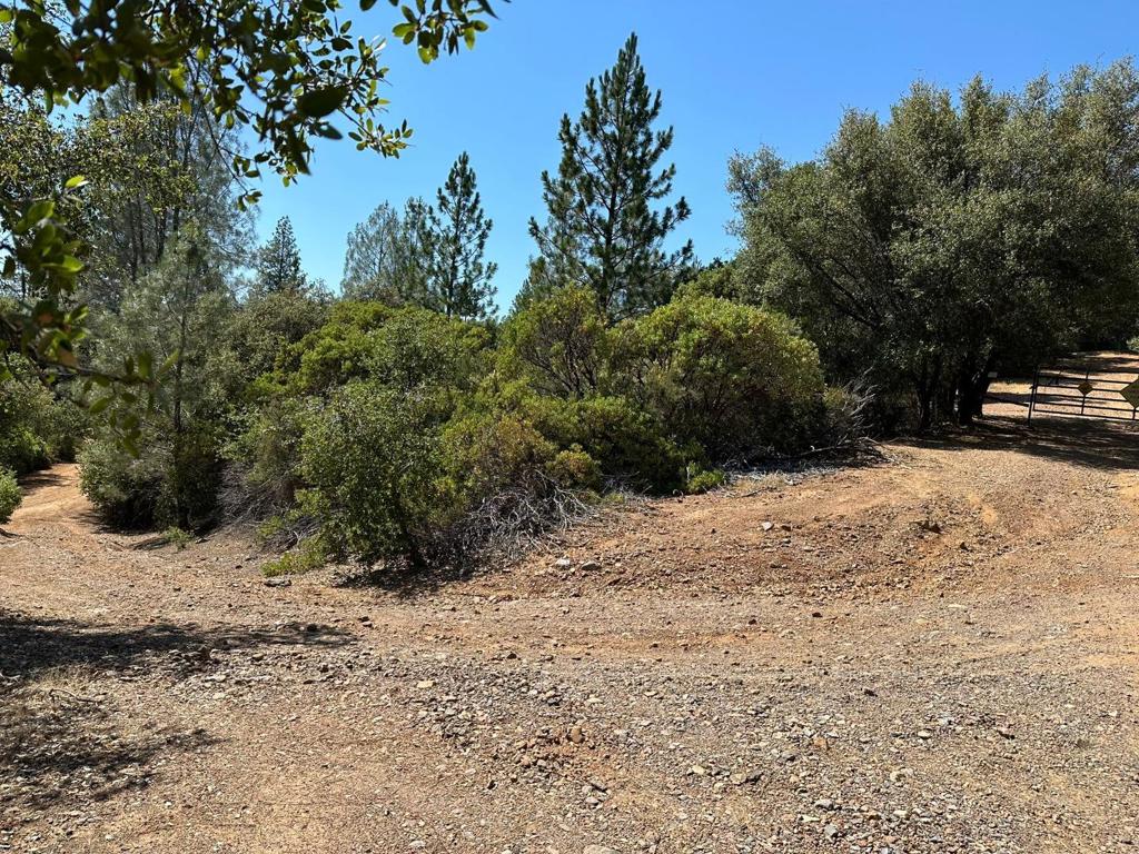 MLS #ML81974509 image #14