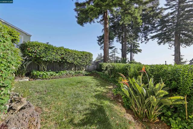 680 Grizzly Peak Blvd, Berkeley CA: https://media.crmls.org/mediaz/09ff75bc-dce9-452b-95c8-a0d301d7855b.jpg