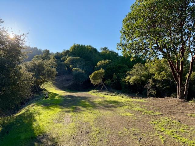 7175 Redwood Retreat Road, Gilroy CA: https://media.crmls.org/mediaz/0a01f680-68aa-427d-832e-4648d88ffe44.jpg