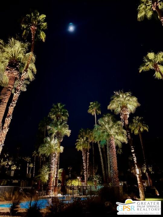 1311 N Primavera Drive, Palm Springs CA: https://media.crmls.org/mediaz/0a09c4cf-d1d9-41cd-a9ed-83fbd5b2f1b6.jpg