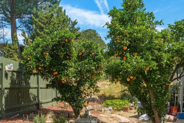 Detail Gallery Image 38 of 40 For 18218 Paradise Mountain Rd Spc 179 #LOT 179,  Valley Center,  CA 92082 - 2 Beds | 2 Baths