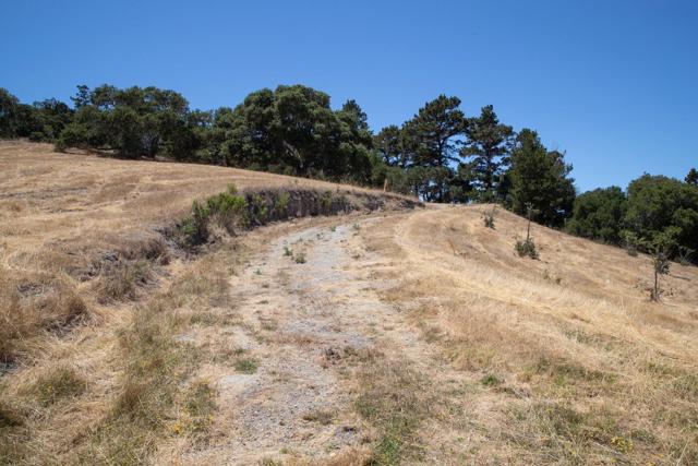 7567 Paseo Vista, Monterey CA: https://media.crmls.org/mediaz/0a0f7637-5ea6-4c3f-9387-16a8c0e08dea.jpg