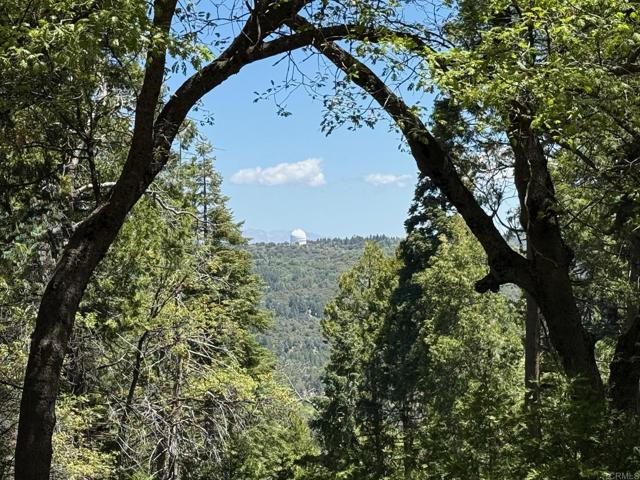 Detail Gallery Image 61 of 75 For 3413 Fern Meadow Rd, Palomar Mountain,  CA 92060 - 3 Beds | 3/1 Baths