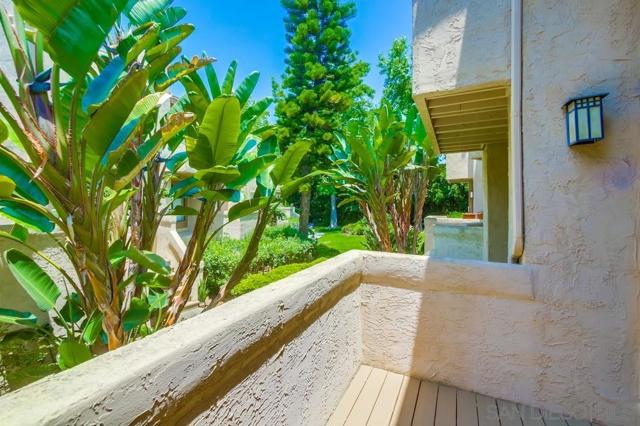 3268 Via Marin, La Jolla CA: https://media.crmls.org/mediaz/0a1e4a60-f2ae-4672-bf6f-9a4238832acf.jpg