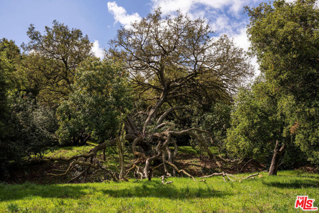 22575 Monte Vista Drive, Topanga CA: https://media.crmls.org/mediaz/0a1e6640-d5d0-4f64-a85d-6508463bd658.jpg