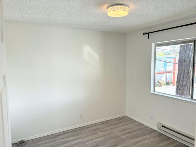248 Caliente Drive, San Leandro CA: https://media.crmls.org/mediaz/0a1f8ef9-234c-4fc6-93c4-f8cc645fabe3.jpg