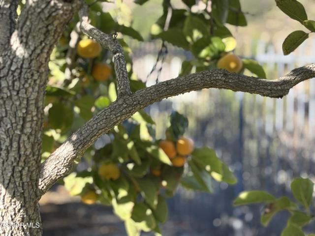 7111 Los Coyotes Place, Camarillo CA: https://media.crmls.org/mediaz/0a22b456-afc9-471b-acb5-3f633d26f526.jpg