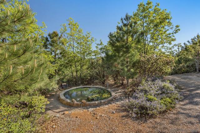 35750 Mountain Circle Drive, Julian CA: https://media.crmls.org/mediaz/0a24ddba-c721-4b22-8c13-c054e8b27c30.jpg