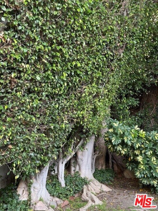 168 N Wetherly Drive, Beverly Hills CA: https://media.crmls.org/mediaz/0a2530bb-b60f-476a-8cea-f36f01a85e63.jpg