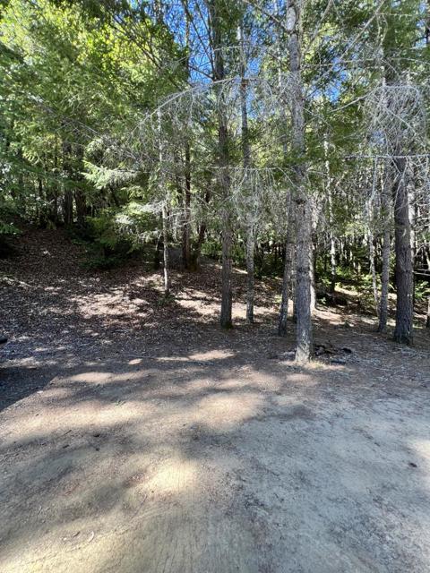 24858 Clover Road, Willits CA: https://media.crmls.org/mediaz/0a2fc79e-6b2e-4dcb-8e32-54462f7b6f2f.jpg