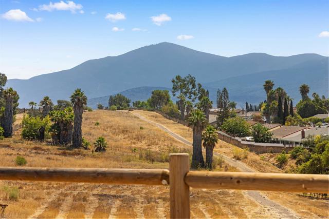 Detail Gallery Image 28 of 30 For 8808 Leigh Ave, Spring Valley,  CA 91977 - 4 Beds | 2 Baths