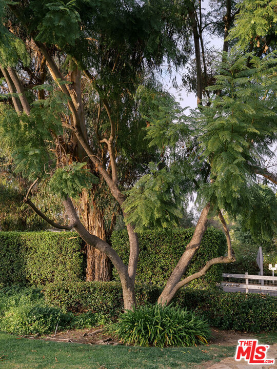 MLS #25623865 image #9