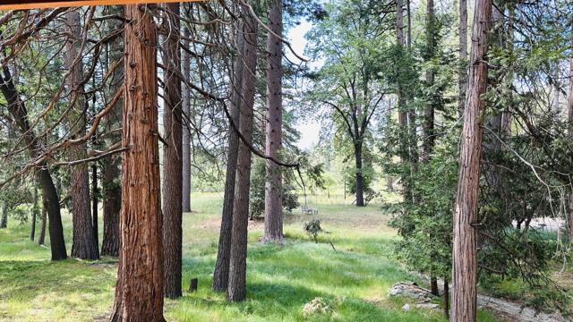 53341 Sherman Drive, Idyllwild CA: https://media.crmls.org/mediaz/0a4e39ba-a485-45b9-ac67-a1206b687032.jpg