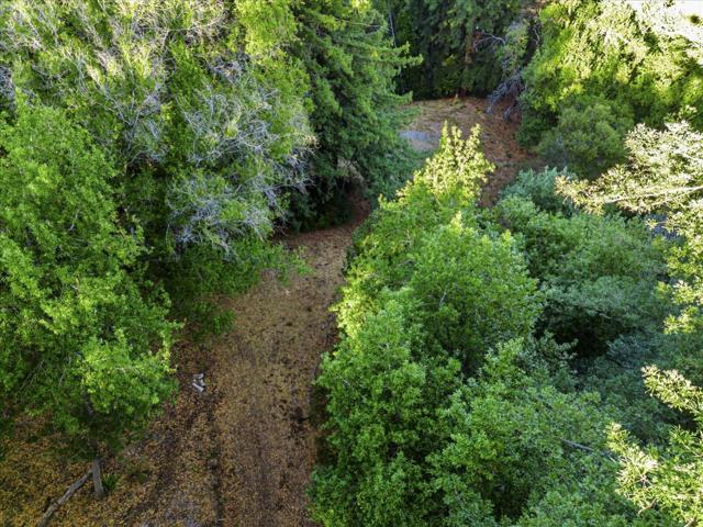 12 Montecito Road, Woodside CA: https://media.crmls.org/mediaz/0a50d714-0739-41e7-9c56-3c6c020ba071.jpg