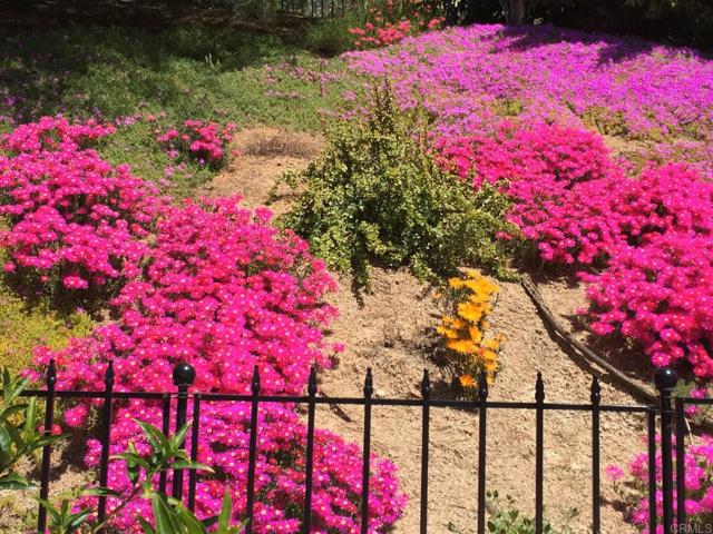 Flowers in Bloom