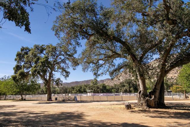 15829 Davis Cup Lane, Ramona CA: https://media.crmls.org/mediaz/0a5bf79f-3e20-4aeb-8df2-61a50b15cfc6.jpg