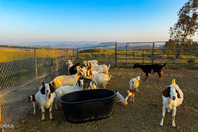 Detail Gallery Image 63 of 75 For 14855 Middle Ranch Rd, Moorpark,  CA 93021 - 3 Beds | 2 Baths