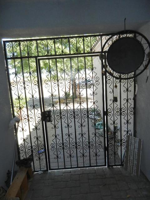 DSCN3537