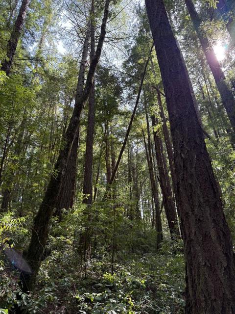 0 Slate Creek Rd., La Honda CA: https://media.crmls.org/mediaz/0a681953-dd6c-44ec-bf1f-779374ce23fc.jpg