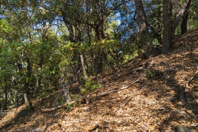 0 Chillon Drive, Crestline CA: https://media.crmls.org/mediaz/0a6f56ff-f3d9-4433-8290-e9680272b8fb.jpg