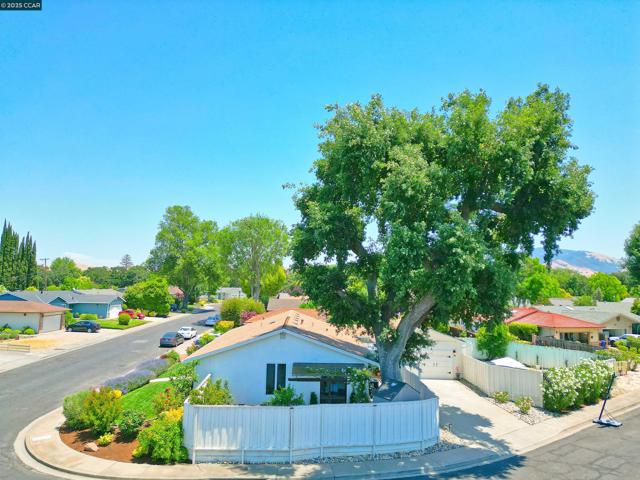 1250 Saint Louis Drive, Concord CA: https://media.crmls.org/mediaz/0a6f73a5-4b7a-4b8d-ad13-fe2a1303e92e.jpg