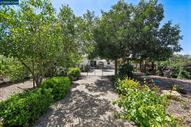 91 Lozoya Way, Oakley CA: https://media.crmls.org/mediaz/0a732fd0-d234-45b2-98e8-dc01f6dd5aa3.jpg