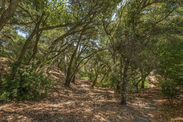 333 Raymundo Drive, Woodside CA: https://media.crmls.org/mediaz/0a75af53-fca5-4cc2-9a9f-7747fd31eebb.jpg