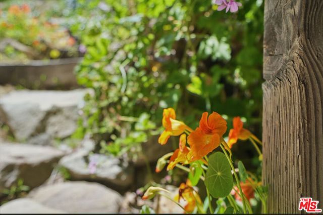 1527 Bainum Drive, Topanga CA: https://media.crmls.org/mediaz/0a7d3501-9d18-4b54-8b87-86ece3abbb98.jpg