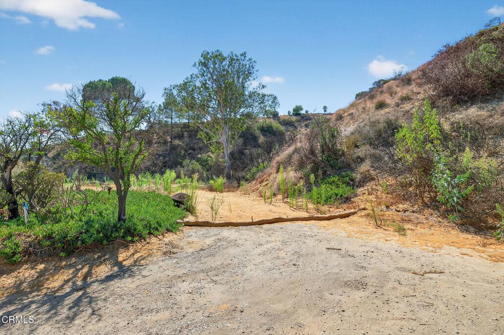 MLS #V1-32289 image #7