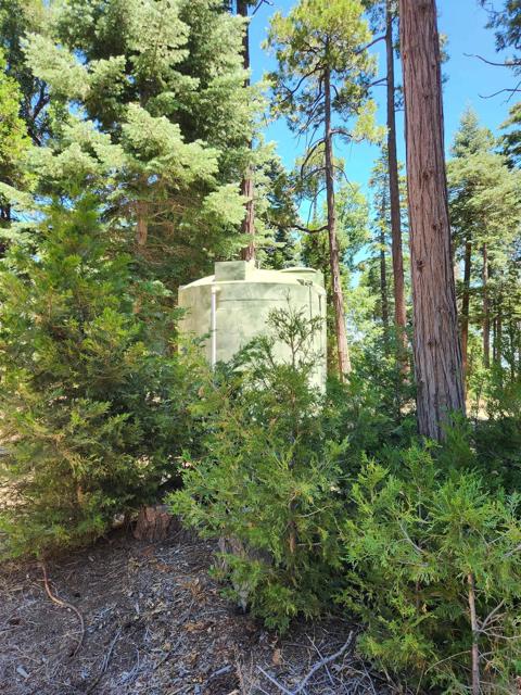 0 Conifer Lane, Palomar Mountain CA: https://media.crmls.org/mediaz/0a828c67-aca1-493d-baea-73a194b618dc.jpg