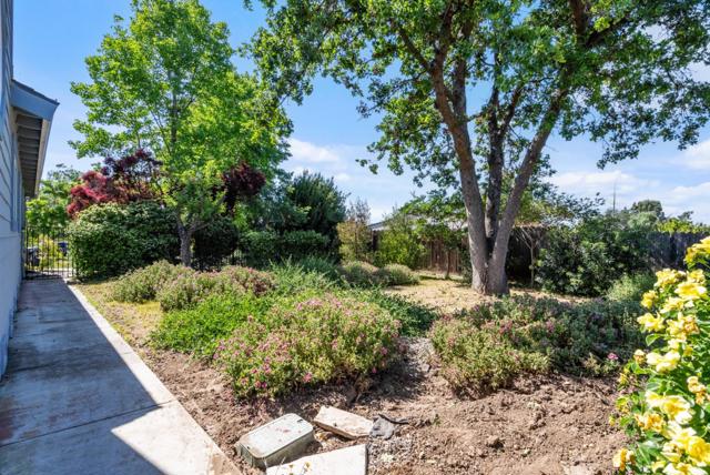 141 Holliday Drive, Hollister CA: https://media.crmls.org/mediaz/0a83086a-619a-479e-ba01-d88ed8d5fde8.jpg