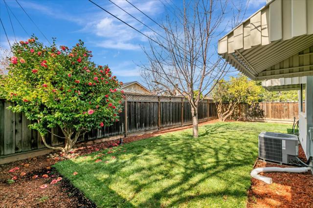 Image 43 of 48 For 493 Novato Avenue