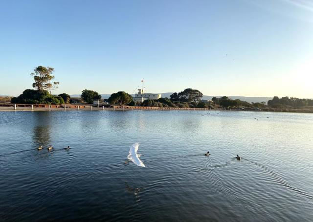 3151 Ramona Street, Palo Alto CA: https://media.crmls.org/mediaz/0a9d3d8a-ab56-42c3-ae10-ecd65c3b7800.jpg