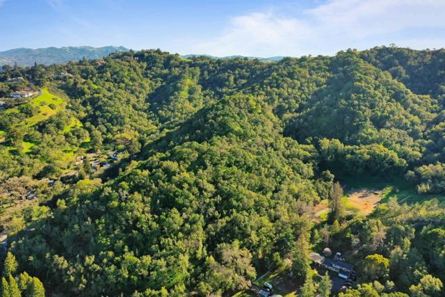 3533 Springhill Road, Lafayette CA: https://media.crmls.org/mediaz/0a9e162c-bc0c-41ec-8c54-6f07f32d08b5.jpg