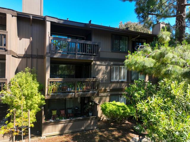 3350 La Mesa Drive, San Carlos CA: https://media.crmls.org/mediaz/0a9f1c65-c6dd-48d1-b429-806434877763.jpg