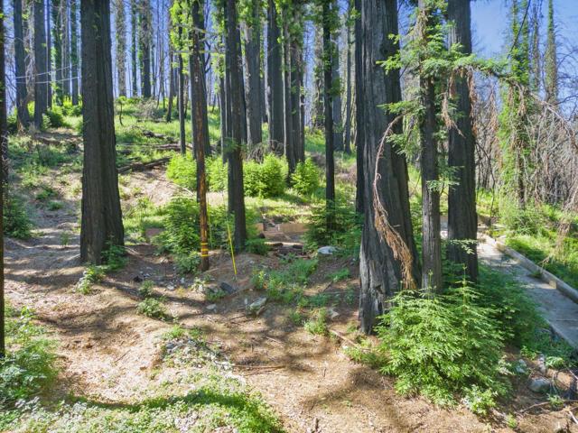 685 Robles Drive, Santa Cruz CA: https://media.crmls.org/mediaz/0ab2cbad-1b16-48fe-9aab-359777fdb044.jpg